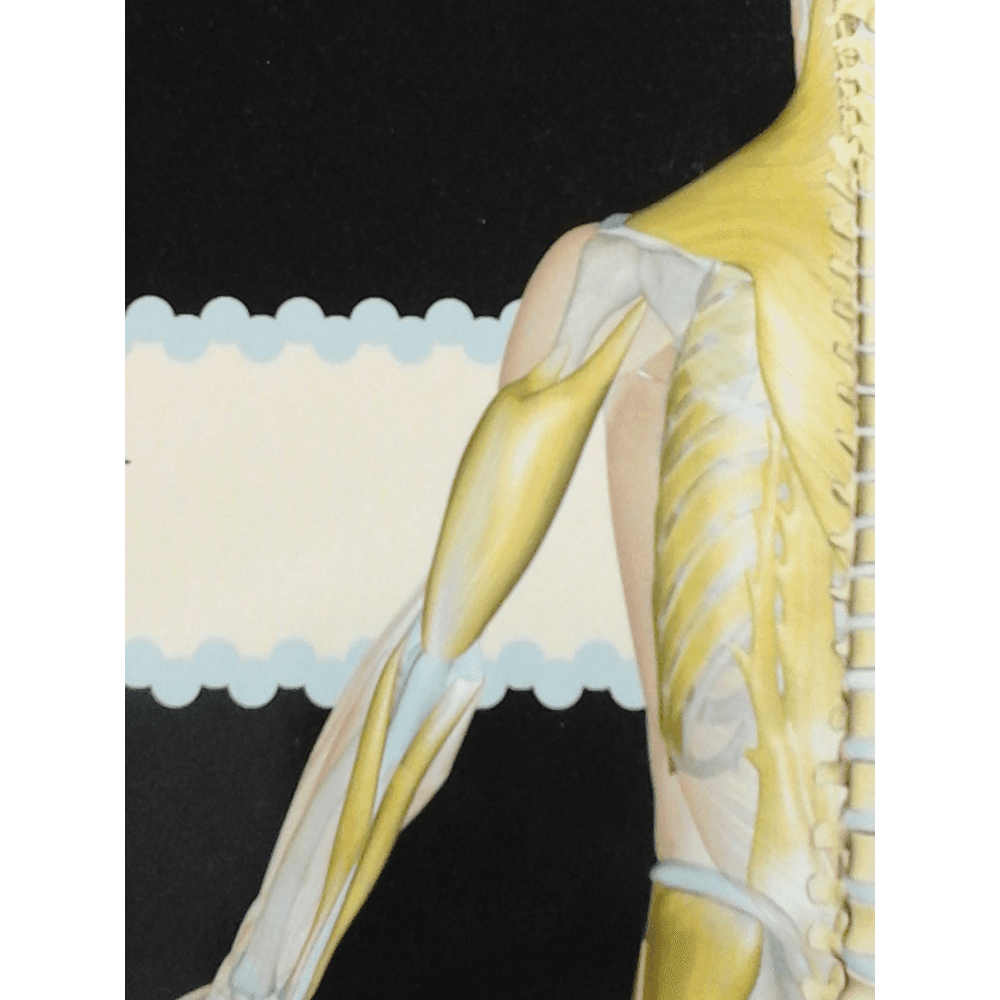 Pain Management Center: Anderson Anthony MD photo 2