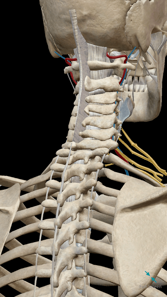 Reasor Gary L MD photo 2