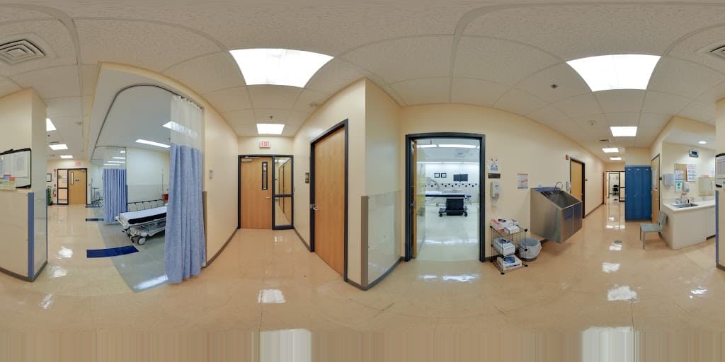 Pain and Wellness Center