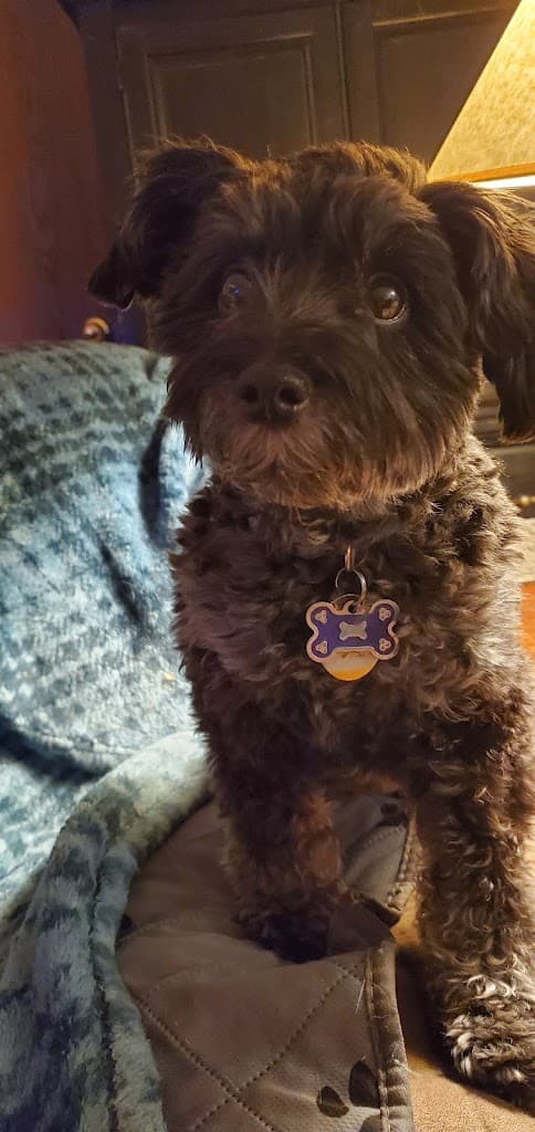 Denver Back Pain Specialists photo 2