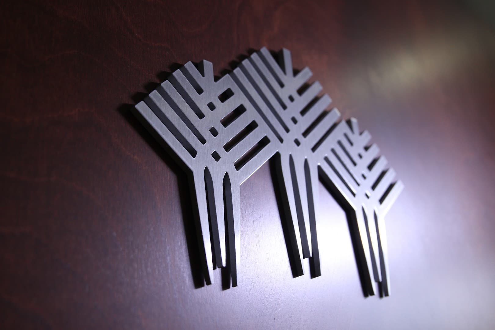 Shawn Donatelli, DO - Southwoods Health - Pain Management photo 3