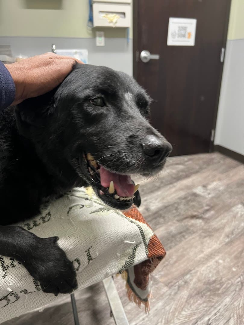 Shaun Kondamuri MD photo 2