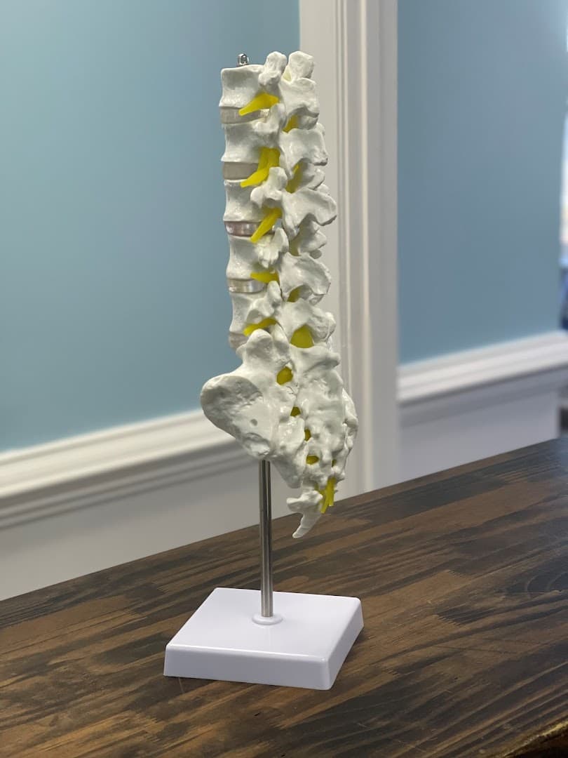 Medicus Spine & Joint