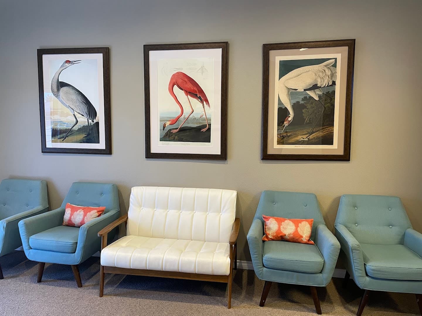 Dr. Paul M. Muratta, DO