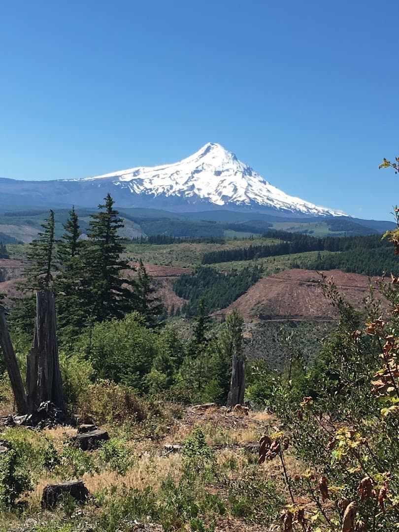 Cascade Orthopedics & Sports Medicine Center, P.C.