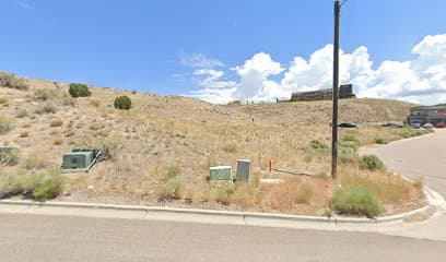 Pain & Spine Specialists of Idaho: Richard Runyan, MD