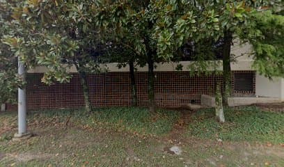 Pain Management Consultants