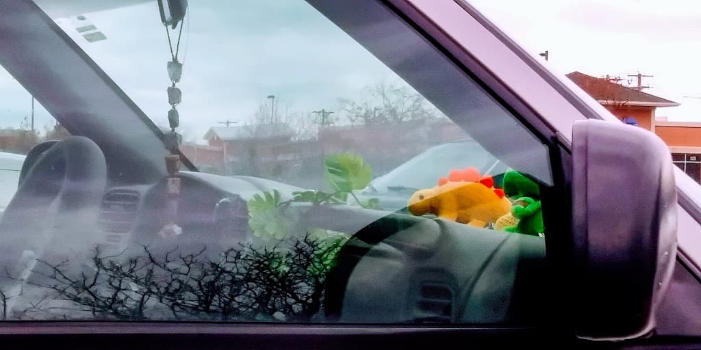 Interventional Spine & Pain Management - Ogden