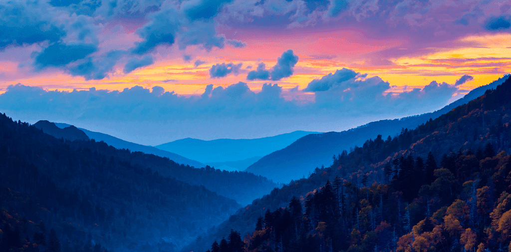 Associated Pain Specialists