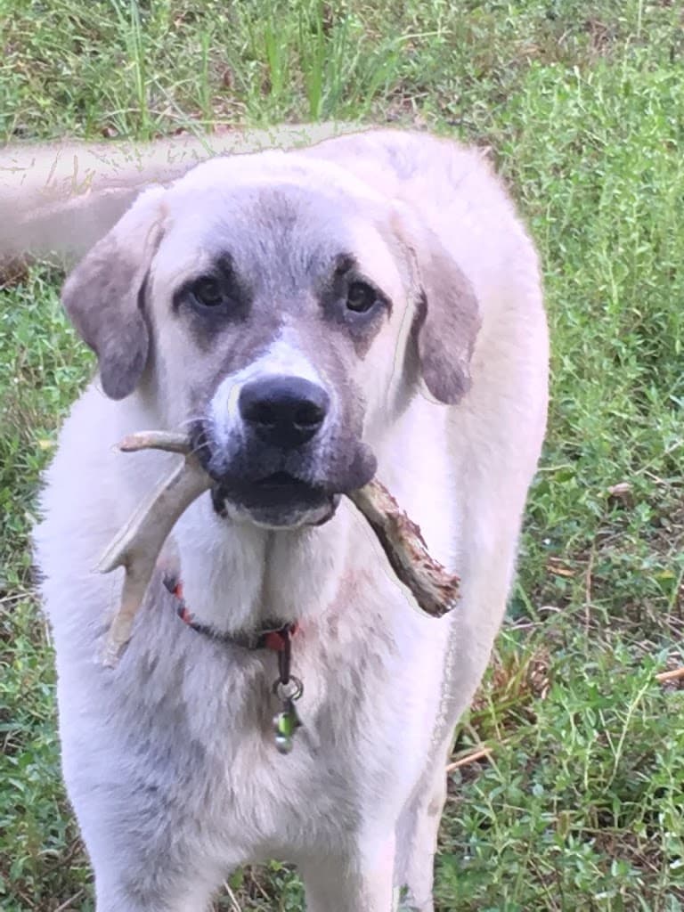 Crystal Coast Pain Management Center