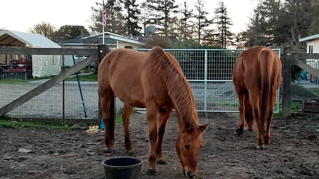 Nevada Advanced Pain Specialists