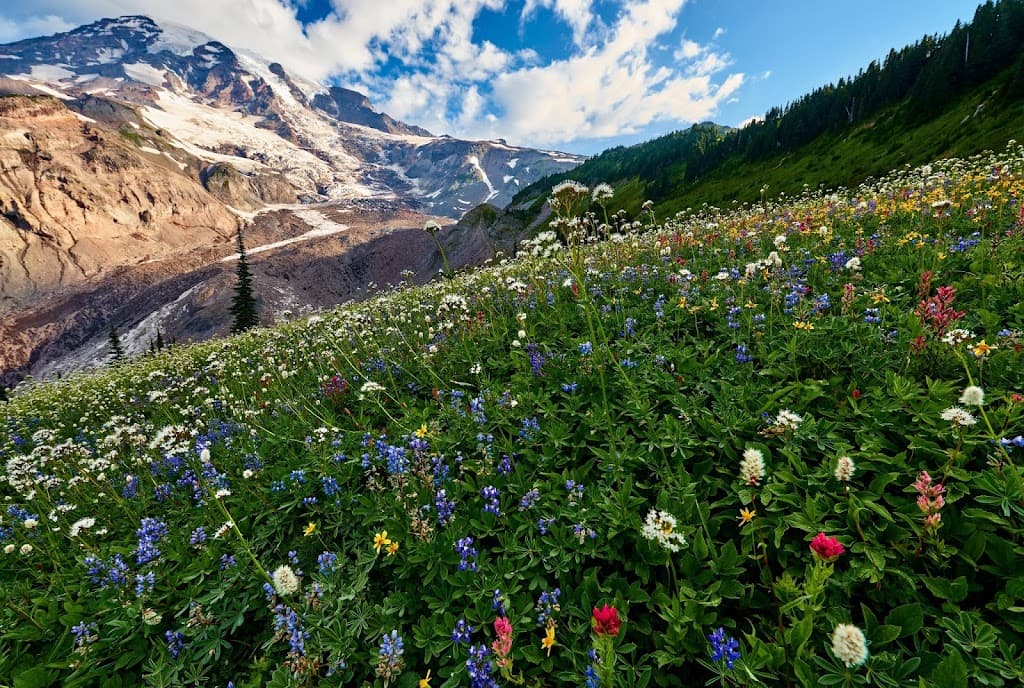 Jason G. Attaman, DO, FAAPMR