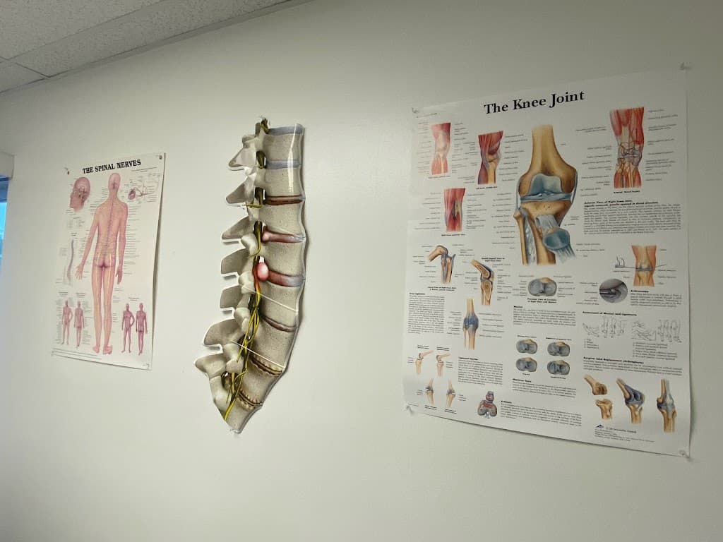 Metro Pain Clinic - Nazih Iskander, MD.