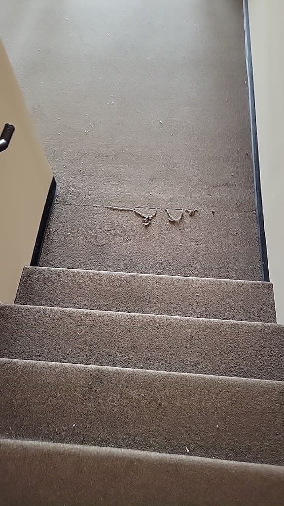 Texas Pain Physicians : Mesquite