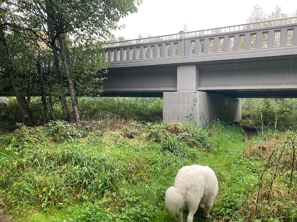 Pacific Pain Specialists