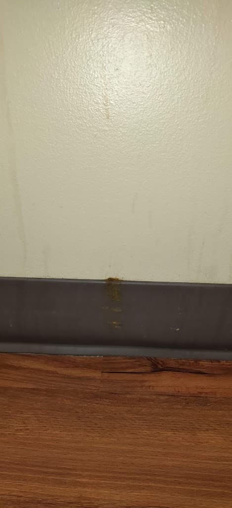 Commonwealth Pain and Spine