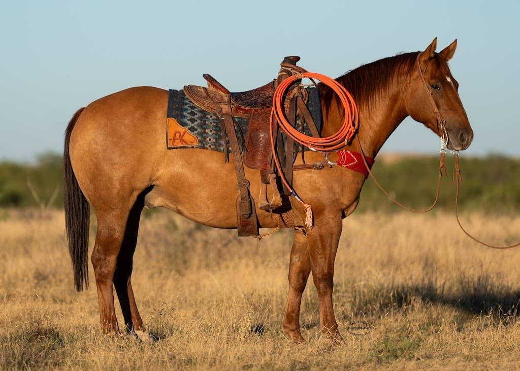 Dr. Jeff Laseter, MD